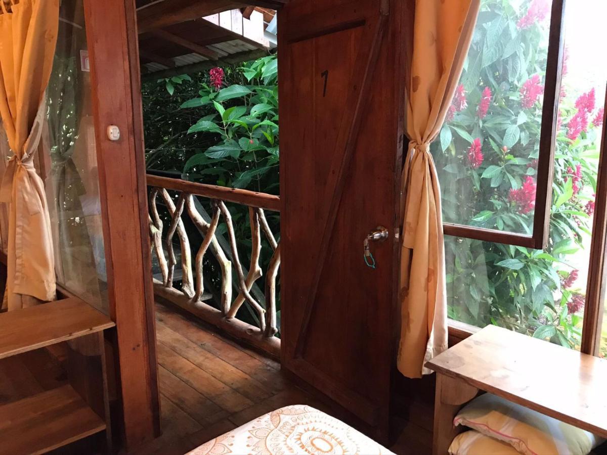 Hosteria Los Cedros De 민도 외부 사진