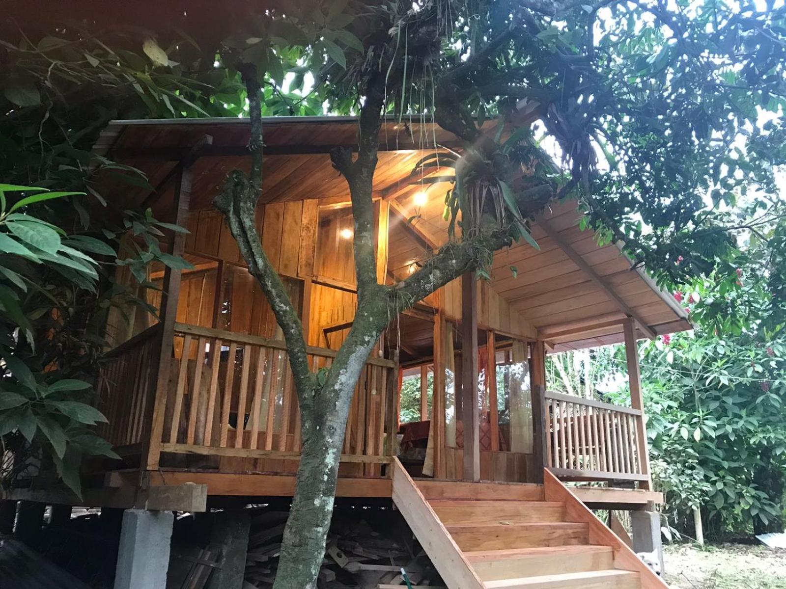 Hosteria Los Cedros De 민도 외부 사진